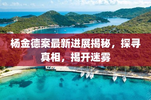 杨金德案最新进展揭秘，探寻真相，揭开迷雾