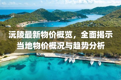 沅陵最新物价概览，全面揭示当地物价概况与趋势分析