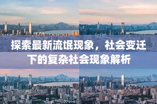 探索最新流氓现象，社会变迁下的复杂社会现象解析