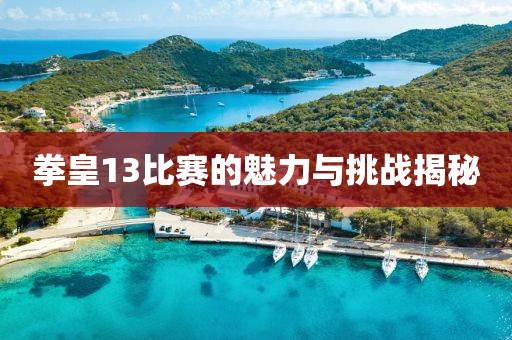 拳皇13比赛的魅力与挑战揭秘