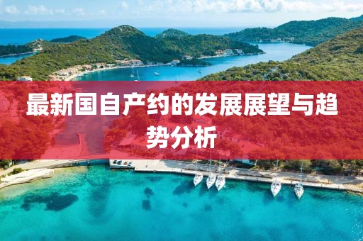 最新国自产约的发展展望与趋势分析