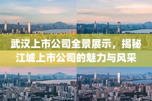 武汉上市公司全景展示，揭秘江城上市公司的魅力与风采