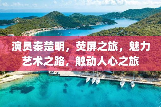 演员秦楚明，荧屏之旅，魅力艺术之路，触动人心之旅