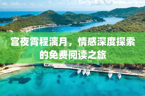 宫夜霄程漓月，情感深度探索的免费阅读之旅