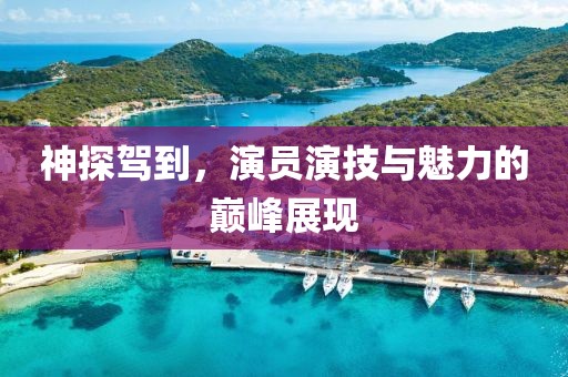 神探驾到，演员演技与魅力的巅峰展现