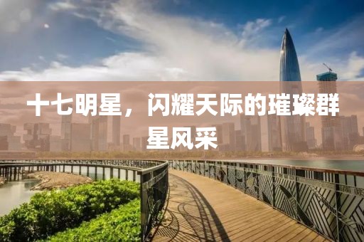十七明星，闪耀天际的璀璨群星风采