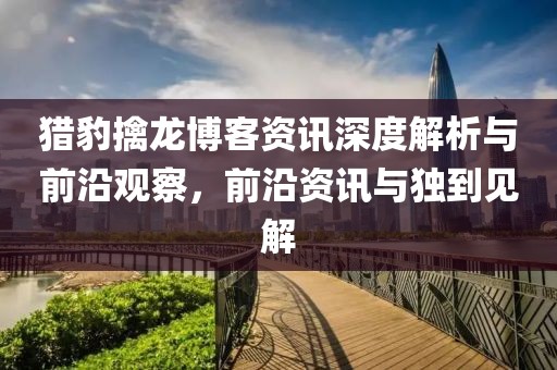 猎豹擒龙博客资讯深度解析与前沿观察，前沿资讯与独到见解