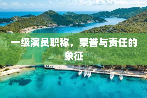 一级演员职称，荣誉与责任的象征