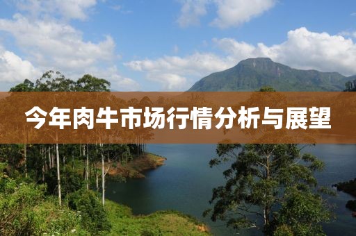 今年肉牛市场行情分析与展望