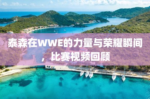 泰森在WWE的力量与荣耀瞬间，比赛视频回顾