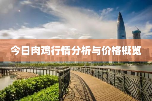 今日肉鸡行情分析与价格概览