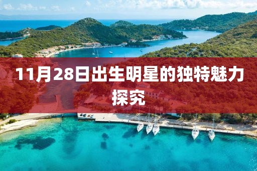 11月28日出生明星的独特魅力探究