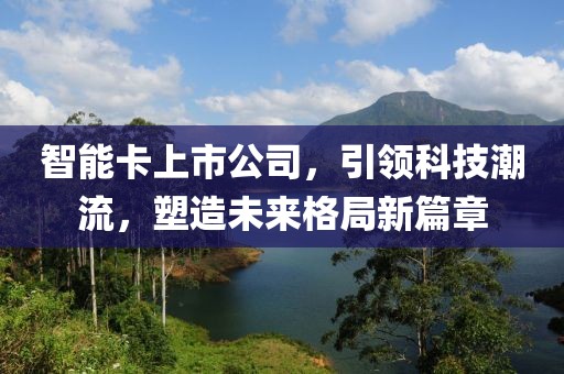智能卡上市公司，引领科技潮流，塑造未来格局新篇章
