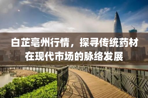 白芷亳州行情，探寻传统药材在现代市场的脉络发展