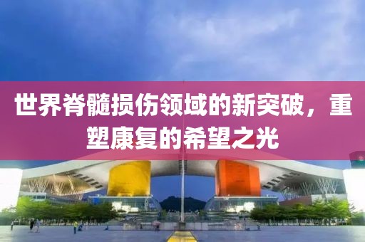 世界脊髓损伤领域的新突破，重塑康复的希望之光
