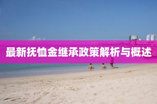 最新抚恤金继承政策解析与概述