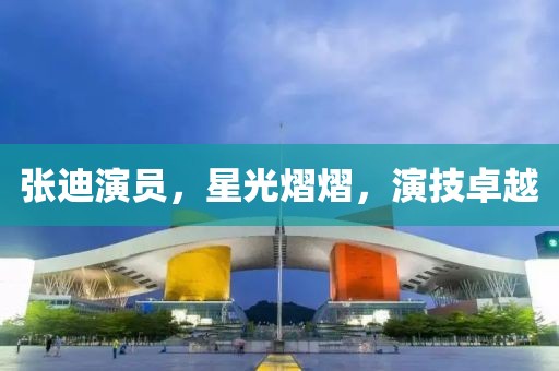 张迪演员，星光熠熠，演技卓越