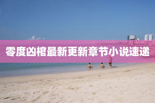零度凶棺最新更新章节小说速递