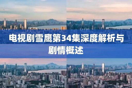 电视剧雪鹰第34集深度解析与剧情概述