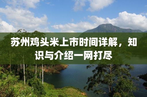 苏州鸡头米上市时间详解，知识与介绍一网打尽