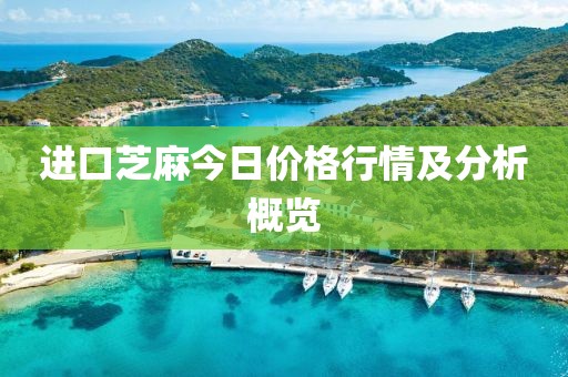 进口芝麻今日价格行情及分析概览