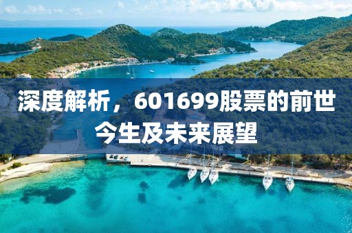 深度解析，601699股票的前世今生及未来展望