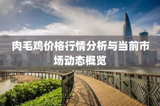 肉毛鸡价格行情分析与当前市场动态概览