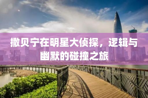 撒贝宁在明星大侦探，逻辑与幽默的碰撞之旅