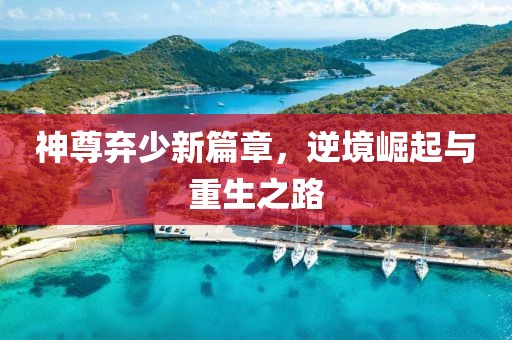 神尊弃少新篇章，逆境崛起与重生之路