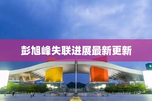 彭旭峰失联进展最新更新