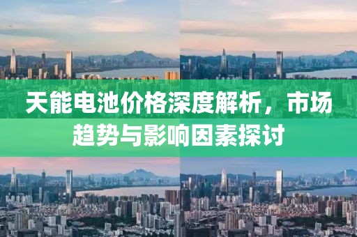 天能电池价格深度解析，市场趋势与影响因素探讨