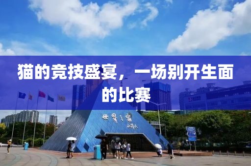 猫的竞技盛宴，一场别开生面的比赛