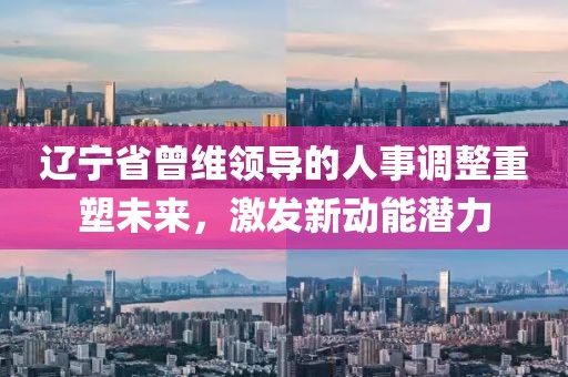 辽宁省曾维领导的人事调整重塑未来，激发新动能潜力
