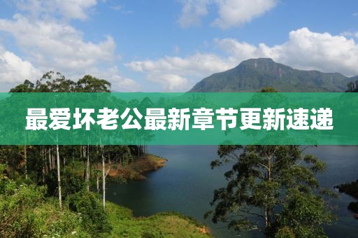 最爱坏老公最新章节更新速递