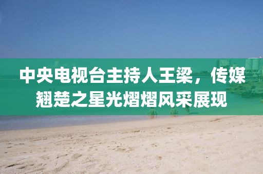 中央电视台主持人王梁，传媒翘楚之星光熠熠风采展现
