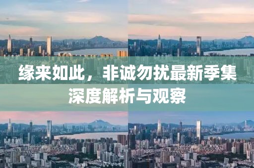 缘来如此，非诚勿扰最新季集深度解析与观察