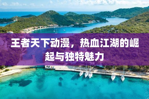 王者天下动漫，热血江湖的崛起与独特魅力