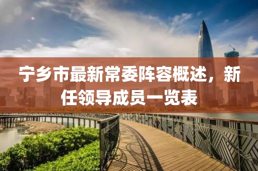宁乡市最新常委阵容概述，新任领导成员一览表