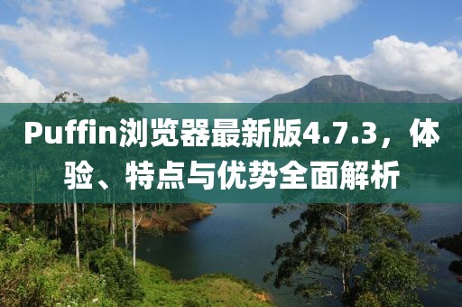Puffin浏览器最新版4.7.3，体验、特点与优势全面解析