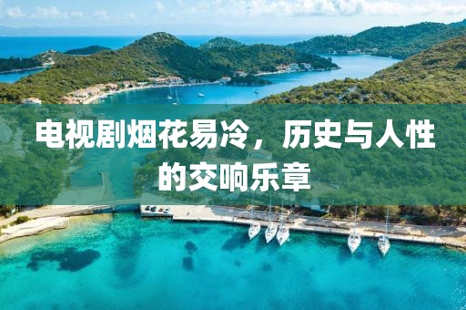 电视剧烟花易冷，历史与人性的交响乐章