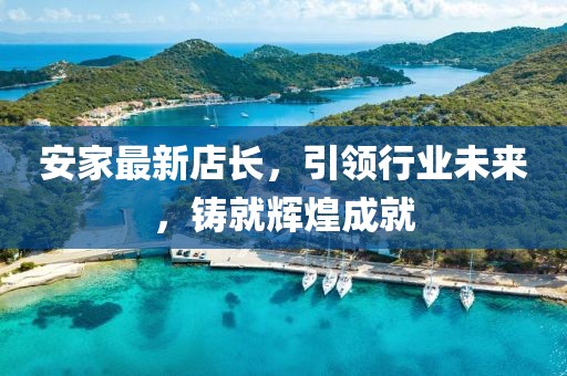 安家最新店长，引领行业未来，铸就辉煌成就