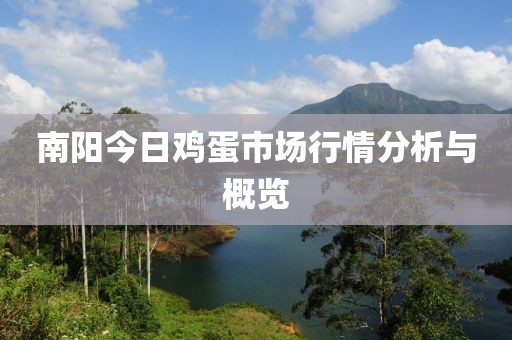 南阳今日鸡蛋市场行情分析与概览