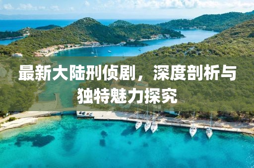 最新大陆刑侦剧，深度剖析与独特魅力探究