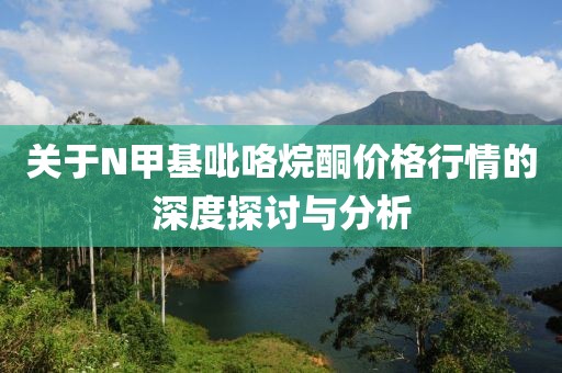 关于N甲基吡咯烷酮价格行情的深度探讨与分析