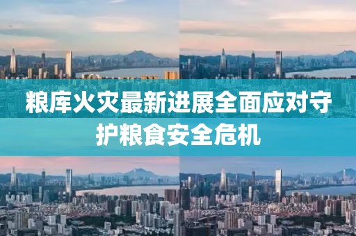 粮库火灾最新进展全面应对守护粮食安全危机