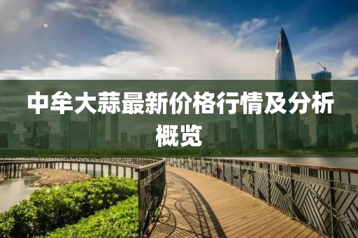 中牟大蒜最新价格行情及分析概览