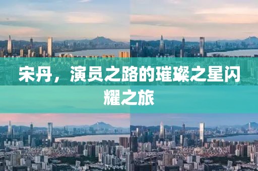 宋丹，演员之路的璀璨之星闪耀之旅