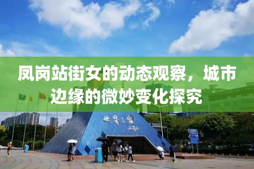 凤岗站街女的动态观察，城市边缘的微妙变化探究