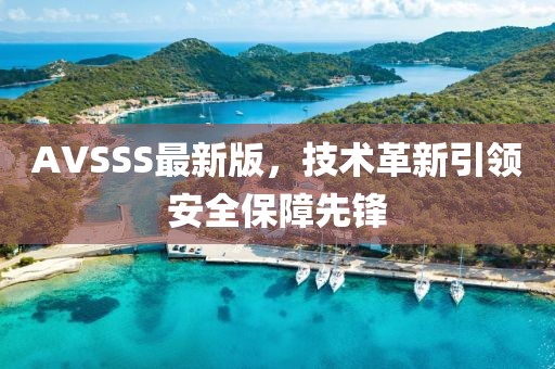 AVSSS最新版，技术革新引领安全保障先锋