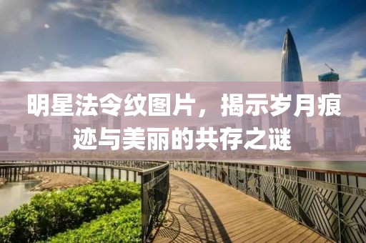 明星法令纹图片，揭示岁月痕迹与美丽的共存之谜
